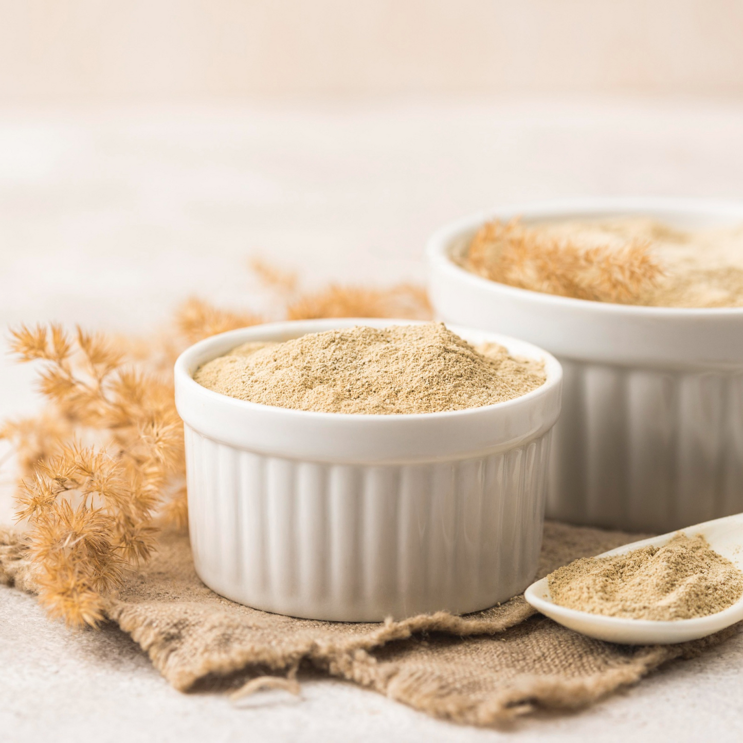 Lion’s Mane Extract Powder